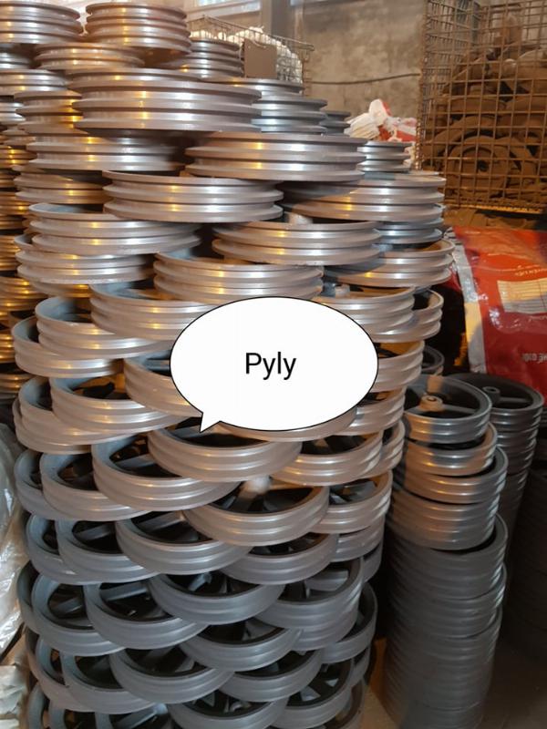 Pyly